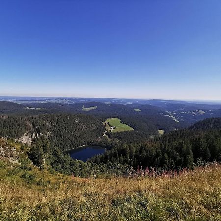 Fewo 1 - Residenz Schauinsland - Mit Sauna, E-Ladestation, Todtnauberg, Bei Feldberg Exterior foto