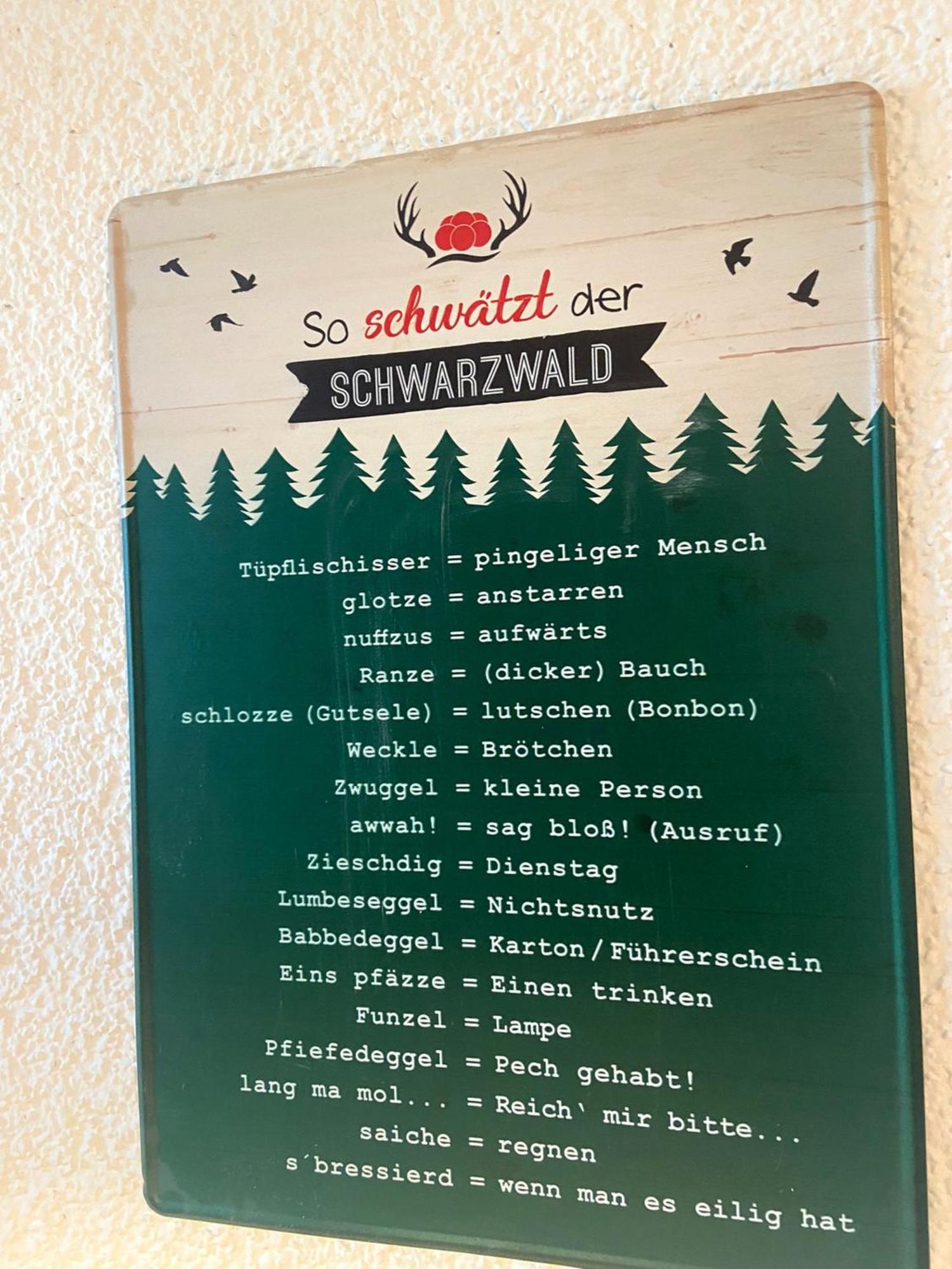 Fewo 1 - Residenz Schauinsland - Mit Sauna, E-Ladestation, Todtnauberg, Bei Feldberg Exterior foto